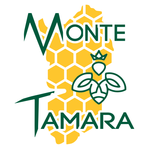 ORGANIC EUCALYPTUS HONEY 250g MONTE TAMARA - Image 2