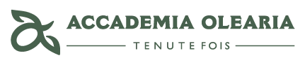EXTRA VIRGIN OLIVE OIL-ACCADEMIA OLEARIA-500 ml - BB 31.07.2026 - Image 6