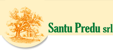 PANE CARASAU-SANTU PREDU-1,8 Kg - Image 2